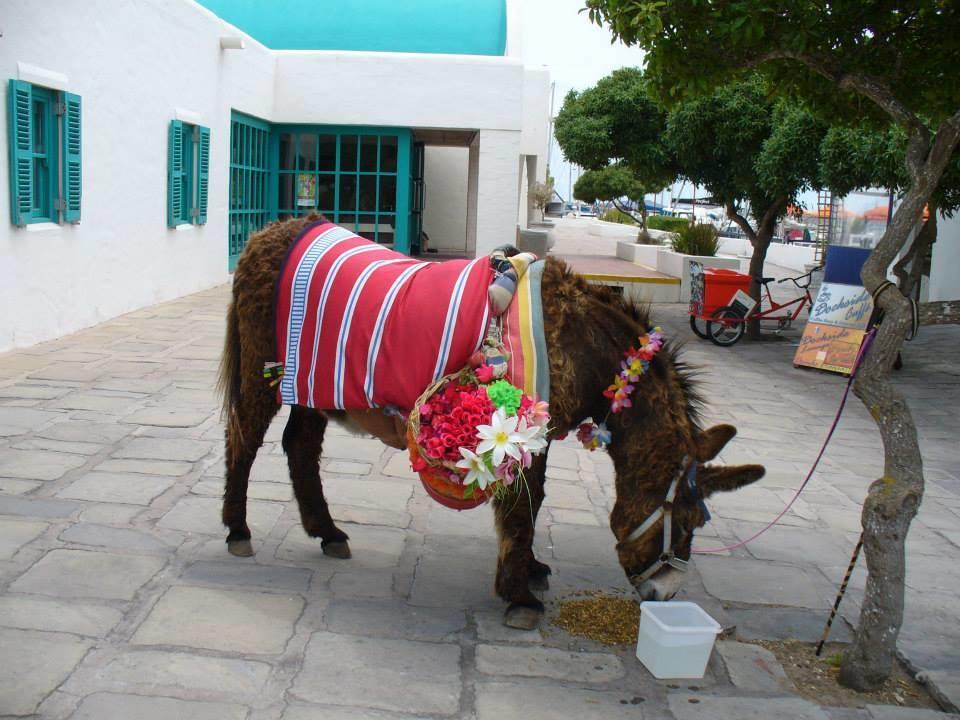 Mykonos Holidays @ Club Mykonos Langebaan Eksteriør bilde